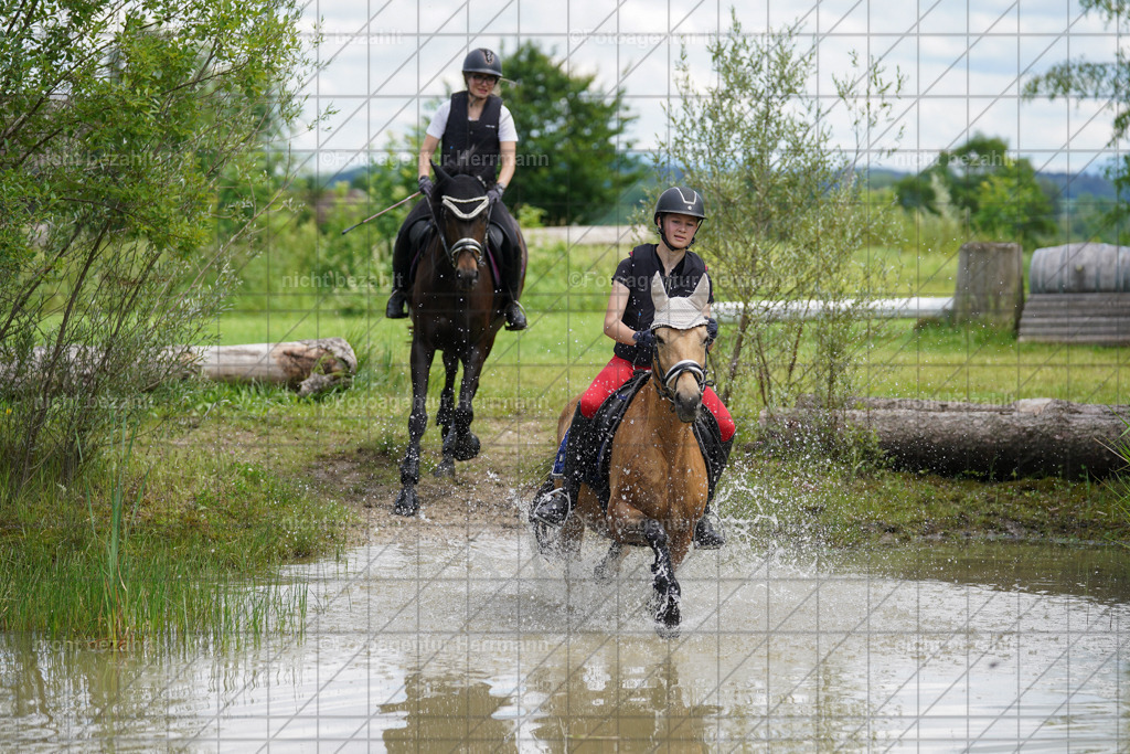 20240622-FAH07541 | Turnierfotografen Bayern, Reitsportbilder aus dem Geländekurs mit Felix Etzel auf dem Gut Waitzacker 2024