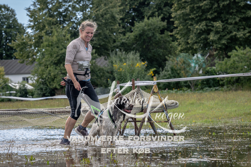 1309_ZZ90426 | kk-dogfotos