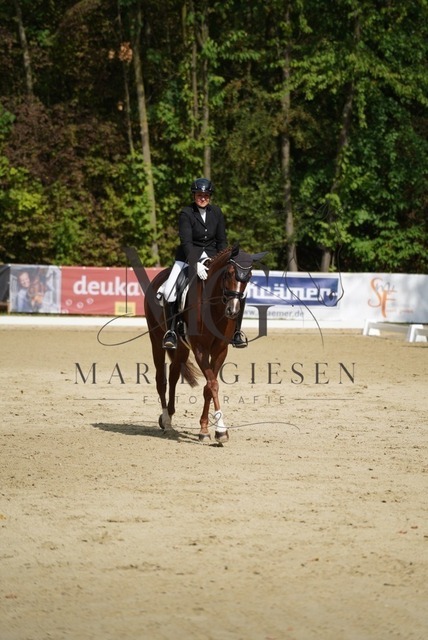 VAN00652 | Marie Giesen Fotografie - Realisiert mit Pictrs.com