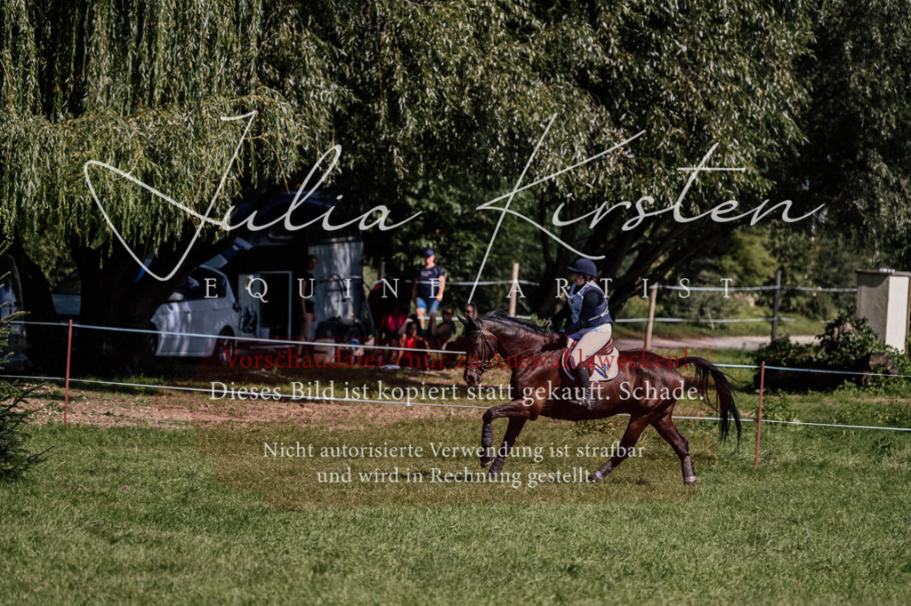 DSC_1604 | Pferde- und Turnierfotografie in Westsachsen. Pferdeportraits, Auftragszeichnungen und intuitive Kunst.