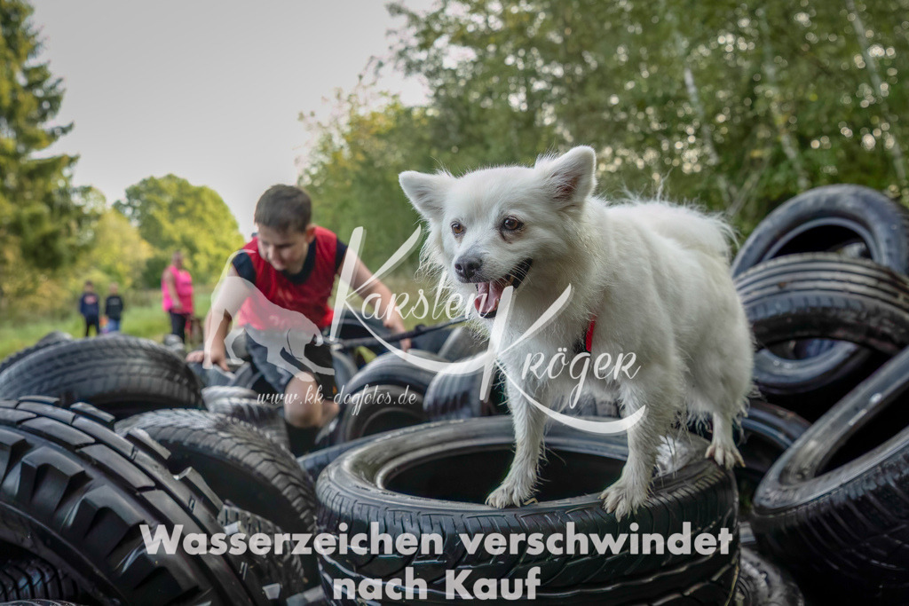 1032_ZZ94741-Bearbeitet-2 | kk-dogfotos