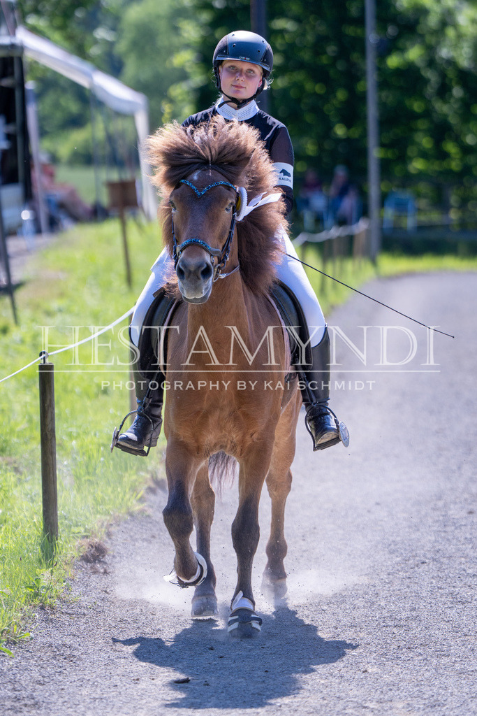 KAI00483 | Ihr sucht einen Fotografen für eure nächste OSI? Ich begleite auch euer Turnier für Islandpferde fotografisch.  - Realisiert mit Pictrs.com