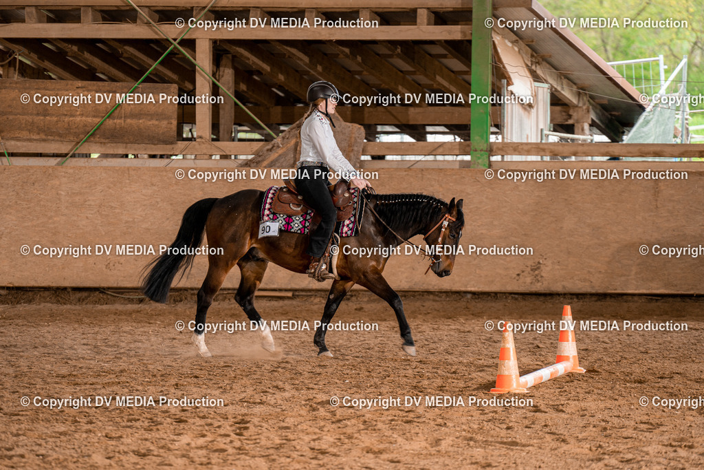 BA300848 | dv-media-shop - Realisiert mit Pictrs.com