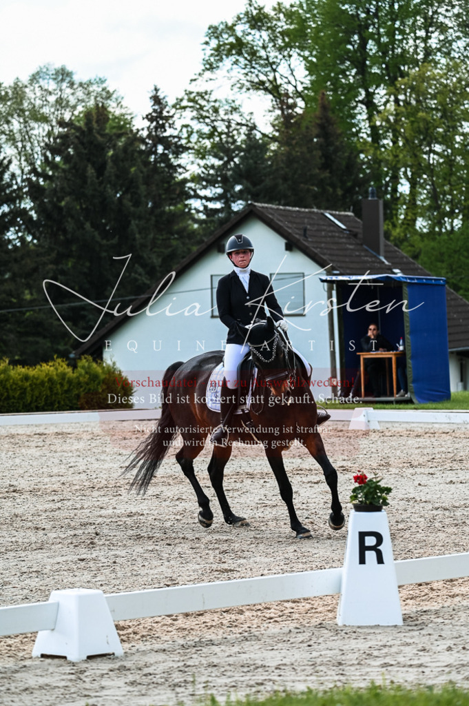 20230513_JK-Röhrsdorf-10-0712 | Pferde- und Turnierfotografie in Westsachsen. Pferdeportraits, Auftragszeichnungen und intuitive Kunst.