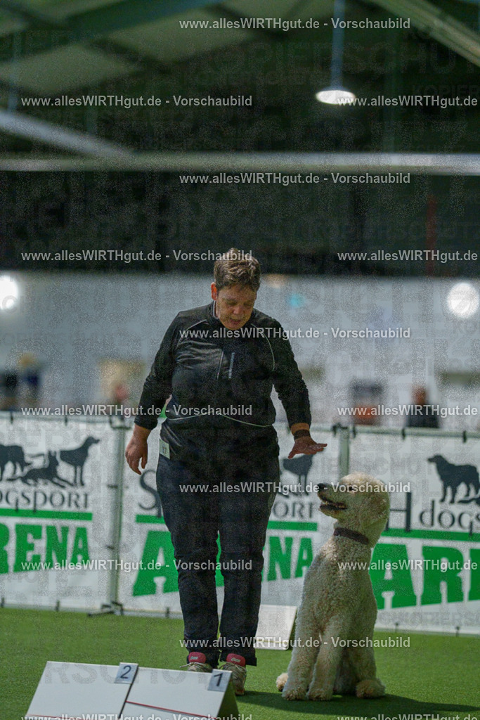 7R505517 | Professionelle Tierfotografie in Mönchengladbach von Daniel Wirth (allesWIRTHgut). Liebevolle & natürliche Bilder von Hunden & Katzen für unvergessliche Erinnerungen.