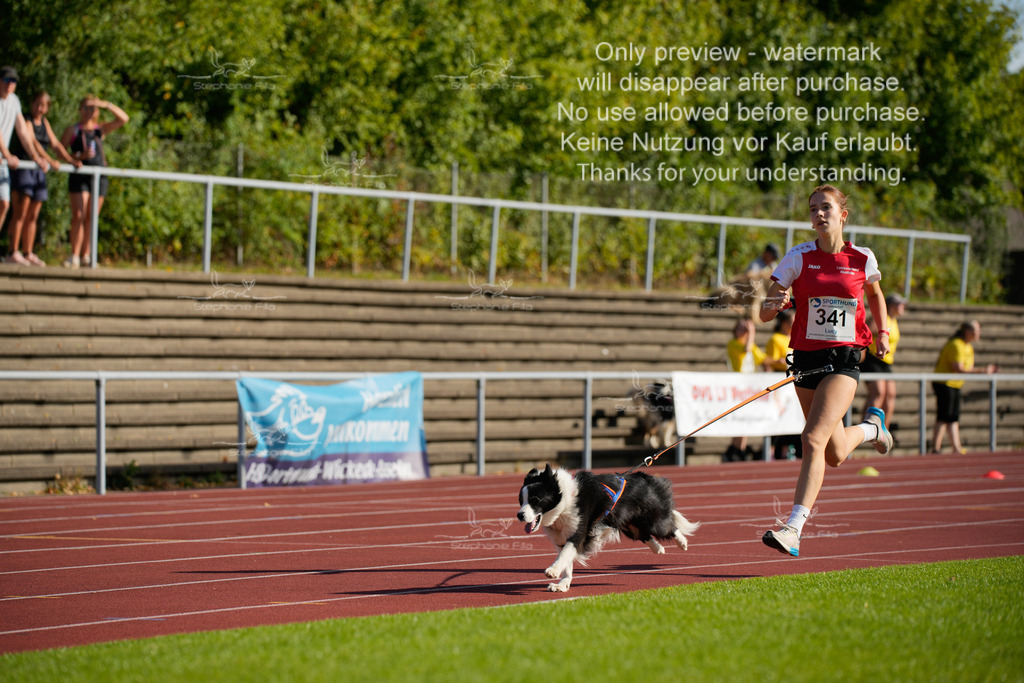 Sonntag_Staffel (34 von 336) | stephaniefillaphotographie - Realisiert mit Pictrs.com