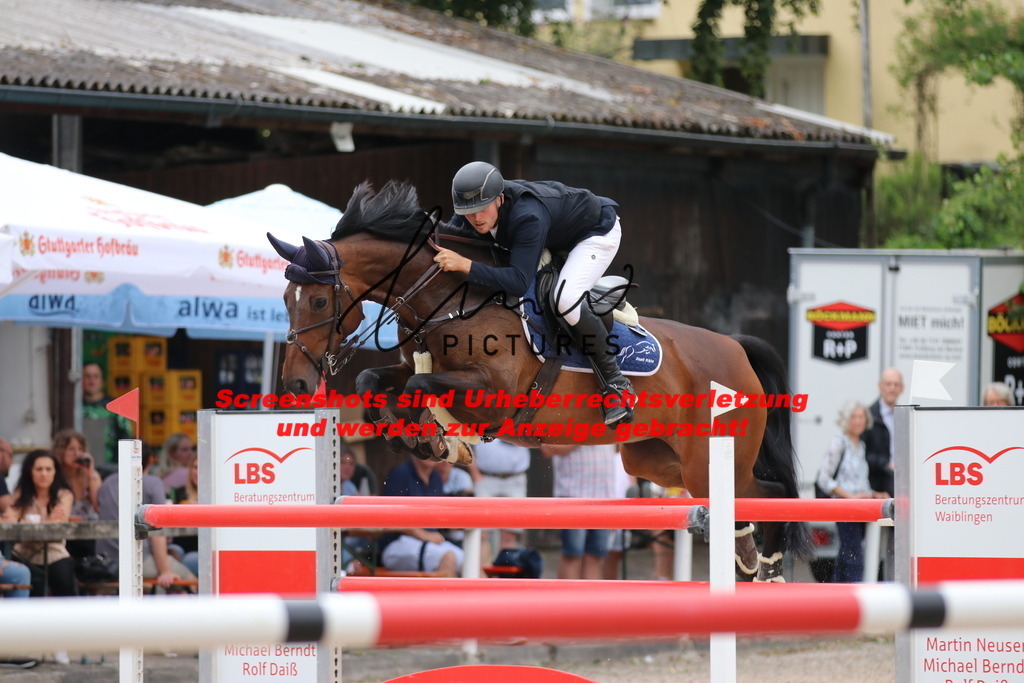 IMG_2622 | lmwpictures - Realisiert mit Pictrs.com