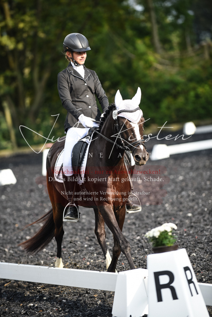 DSC_3405 | Pferde- und Turnierfotografie in Westsachsen. Pferdeportraits, Auftragszeichnungen und intuitive Kunst.