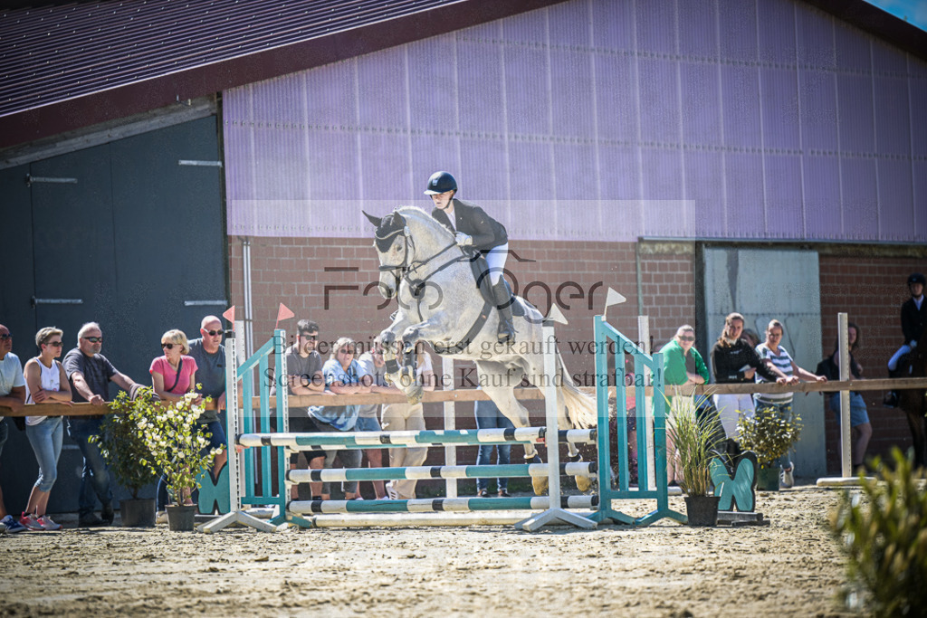 DOS_1212 | Entdecke hochwertige Reitturnierfotos von Foto Oger. Professionell, emotional und authentisch – jetzt Lieblingsmomente im Shop bestellen. - Realisiert mit Pictrs.com