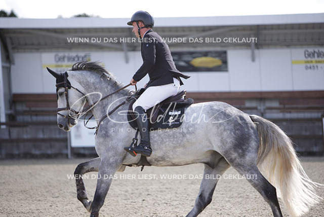 1J2A6298Klas-Kristoff Kudlinski_ Steendieks Dear Lenny_ Kn915_ Havekost | Foto- und Videografie für alles rund ums Pferd. Hochwertige Bilder und Videos vom Spring- und Dressurreiten, Voltigieren & mehr. Jetzt aktuelle Veranstaltungen und Preise im Shop ansehen. - Realisiert mit Pictrs.com