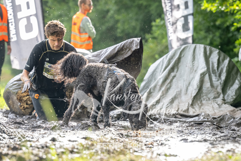 0918_ZZ90754 | kk-dogfotos