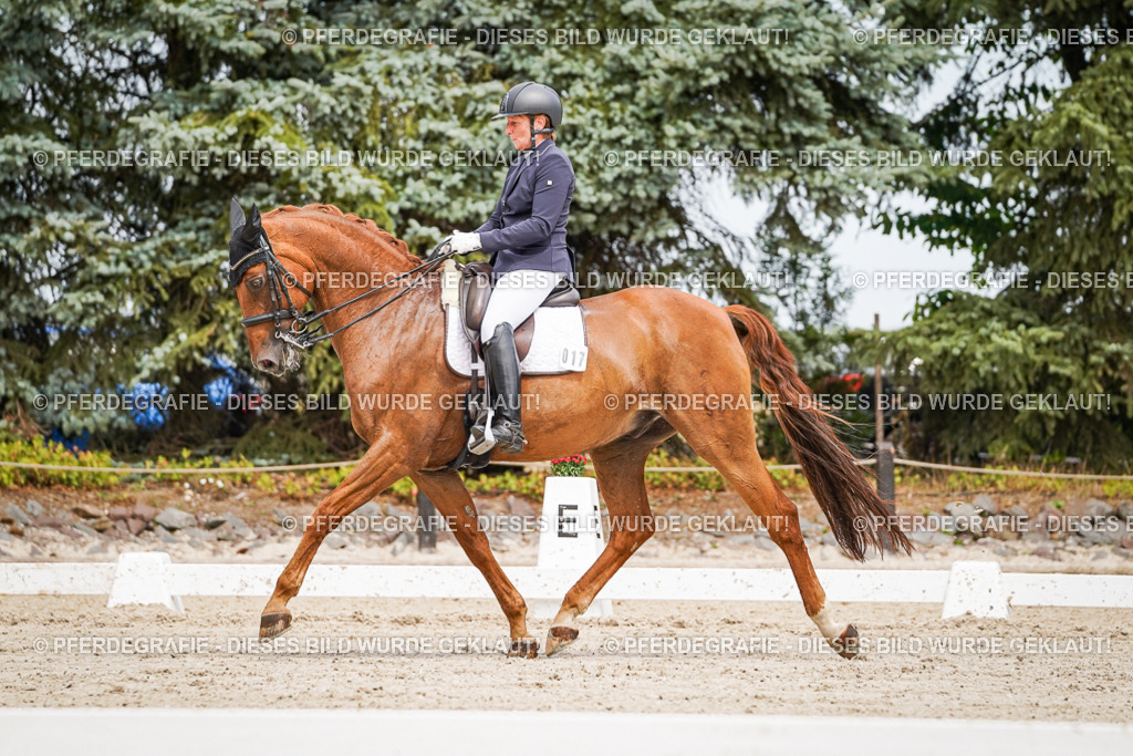 DSC05043 | Pferdegrafie