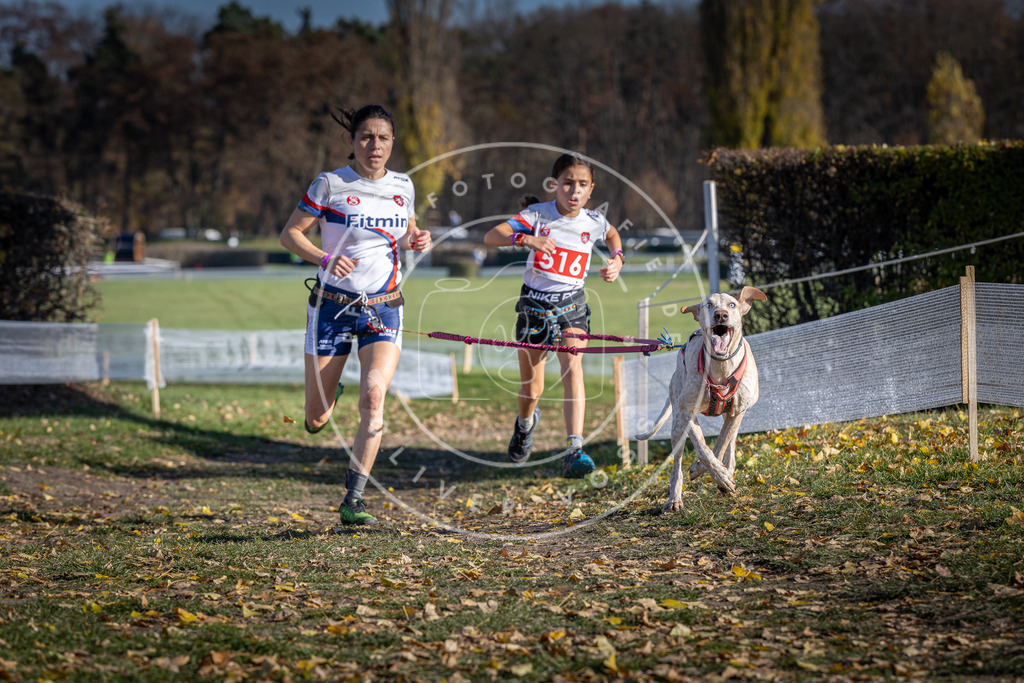 CaniXpix_DV3A8025 | Hundefotografie, Tierfotograf, Pfotenfotografie, Fotoshooting Hund, Hunde Portrait, Hundesport, Hundeportraits, Heideshooting, Hunde, Sportfotograf, Hundefotograf, Turnierhundsport, THS,  - Realisiert mit Pictrs.com