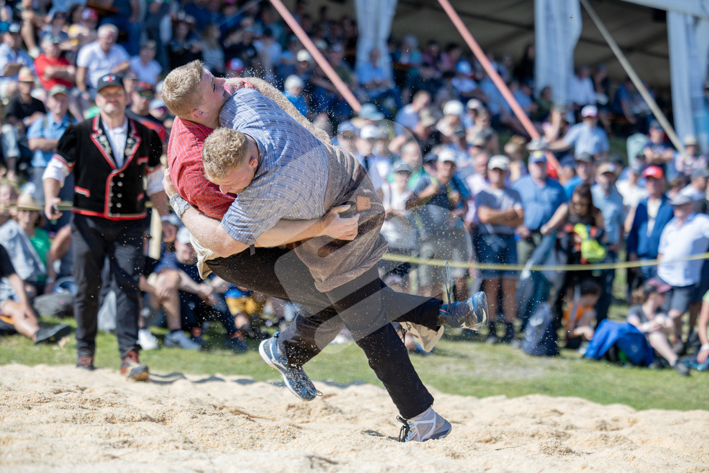 Rigi2025_2909 | Die Schwinger des Schwyzer Kantonalen Schwingerverbandes: Fotos, die Dynamik und Leidenschaft festhalten, sowie emotionale Momente aus dem traditionellen Schwingsport zeigen. - Realisiert mit Pictrs.com