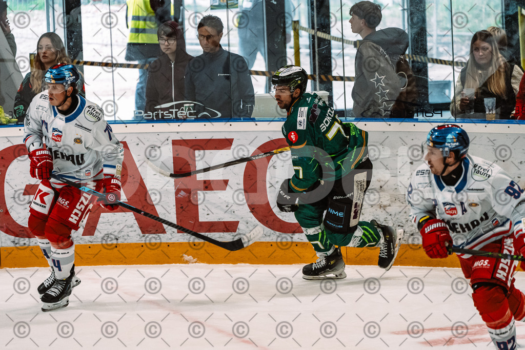 Alligators_vs_Selb_13_09_2026-29 | Die Fotogalerie von Daddel: professionelle Bilder von Sport, Events und Unternehmen aus Franken. Jetzt Galerien durchstöbern und Lieblingsfotos bestellen. - Realisiert mit Pictrs.com