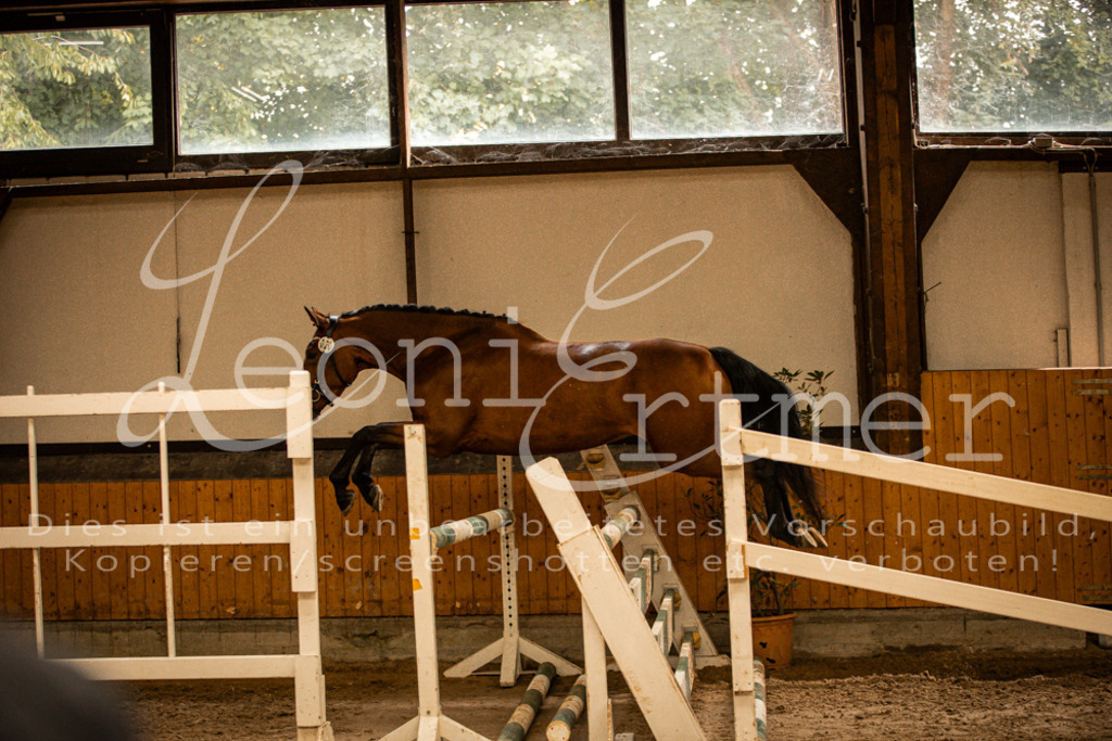 2FS_L00137 | Leoni Ertmer Photography - Realisiert mit Pictrs.com