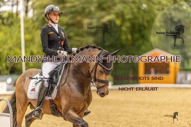 28-8-26 5j DRE-1079 | mandyhollmannphotographie