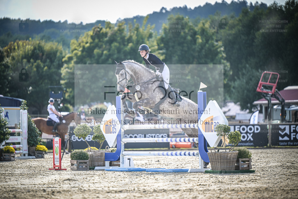 DOS_9558 | Entdecke hochwertige Reitturnierfotos von Foto Oger. Professionell, emotional und authentisch – jetzt Lieblingsmomente im Shop bestellen. - Realisiert mit Pictrs.com