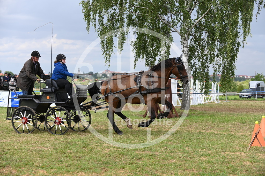 DSC_9009 | sattelsport - Realisiert mit Pictrs.com