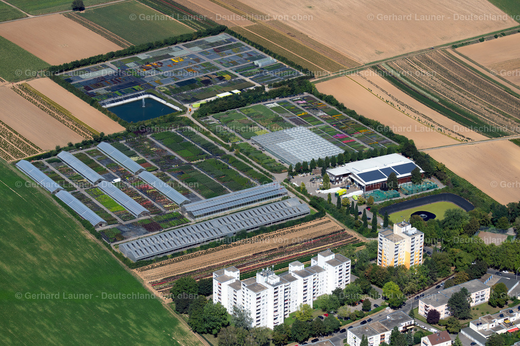 3902624 | Gärtnerei an der Maasstrasse, Neckargartach