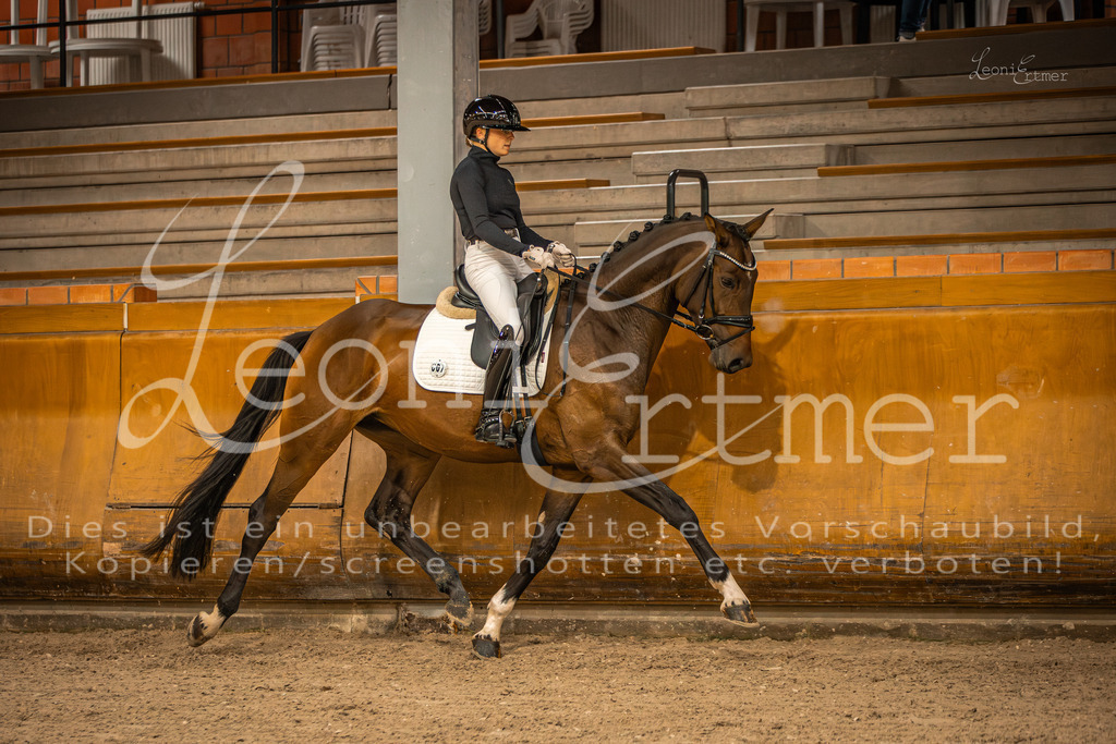 1Reiten00024 | Leoni Ertmer Photography - Realisiert mit Pictrs.com