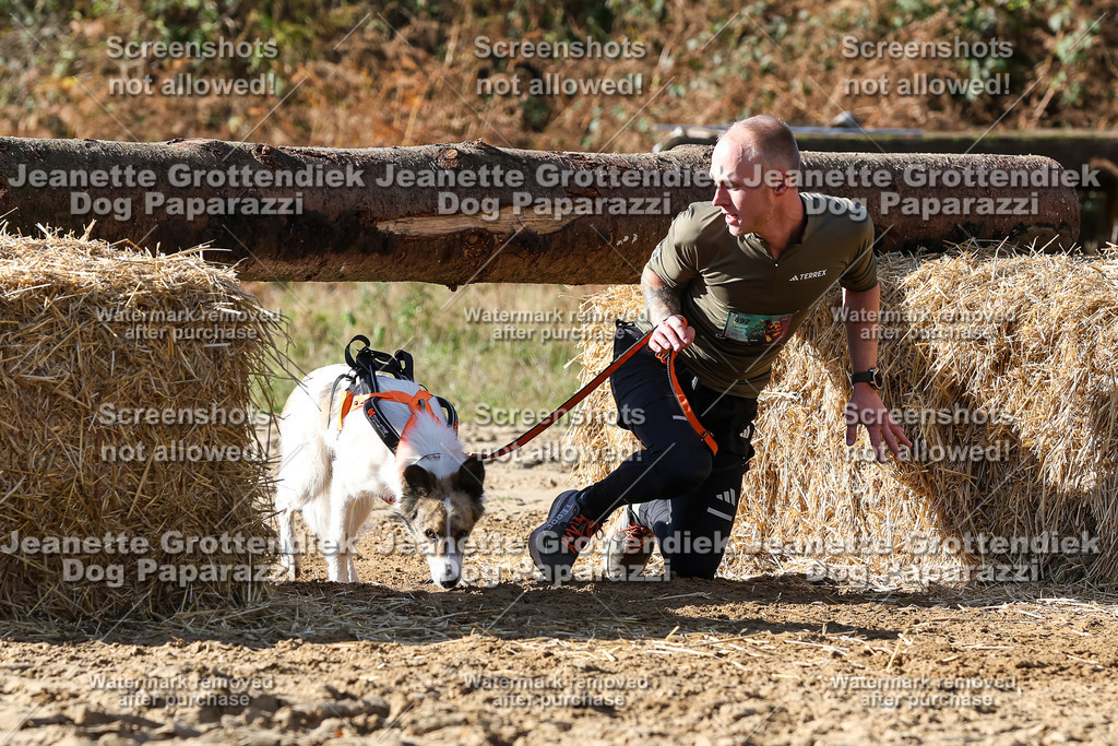 Dog Paparazzi - Strongdog 10-25-4815 | Dog Paparazzi Jeanette Grottendiek Fotografie & Videografie - Realisiert mit Pictrs.com