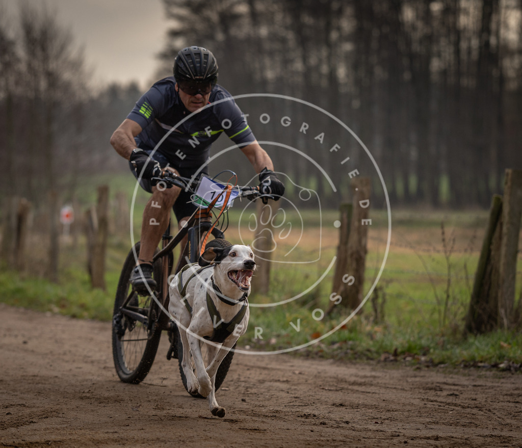 Pfotenfotografie_DV3A1738 | Hundefotografie, Tierfotograf, Pfotenfotografie, Fotoshooting Hund, Hunde Portrait, Hundesport, Hundeportraits, Heideshooting, Hunde, Sportfotograf, Hundefotograf, Turnierhundsport, THS,  - Realisiert mit Pictrs.com