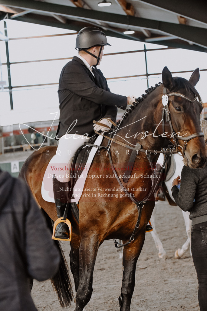 DSC_7503 | Pferde- und Turnierfotografie in Westsachsen. Pferdeportraits, Auftragszeichnungen und intuitive Kunst.