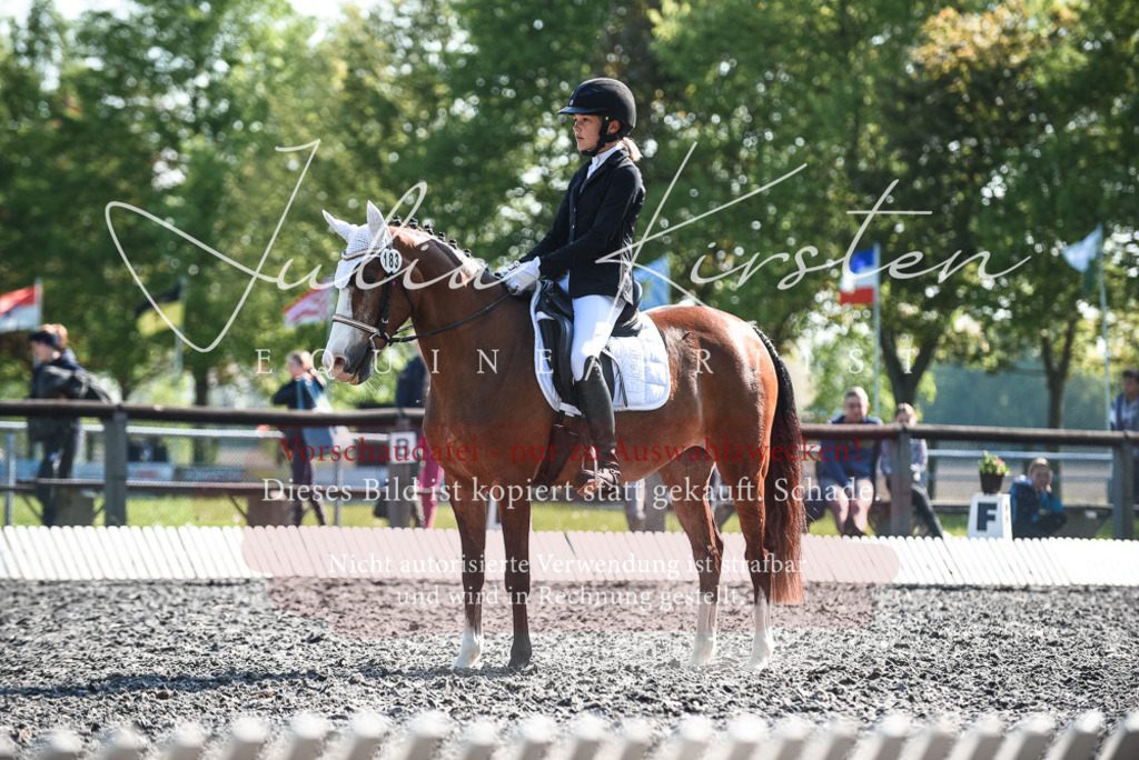 DSC_8696 | Pferde- und Turnierfotografie in Westsachsen. Pferdeportraits, Auftragszeichnungen und intuitive Kunst.