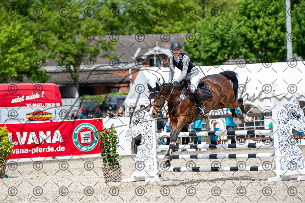 KPT_5549 | andre_photographic