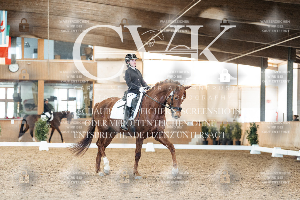 CK908340 | Turnierfotografie Pferdefotografie Trier Rheinland-Pfalz Pferdesport Reitsport Tierfotografie Sportfotografie Pferdevideo Pferdevideografie Equestrianvideography equestrianphotography  - Realized with Pictrs.com