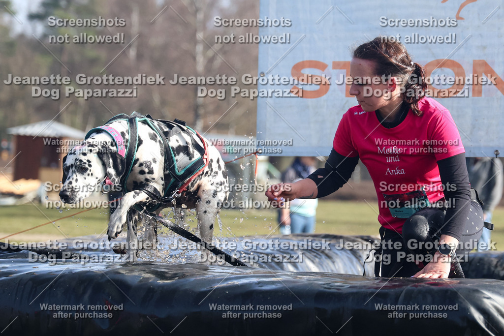 Dog Paparazzi - Strongdog North Mrz26-1473 | Dog Paparazzi Jeanette Grottendiek Fotografie & Videografie - Realisiert mit Pictrs.com