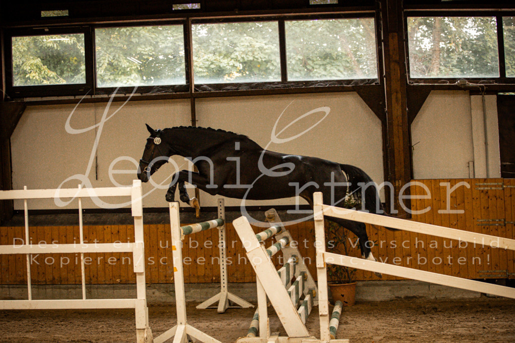 2FS_L00052 | Leoni Ertmer Photography - Realisiert mit Pictrs.com