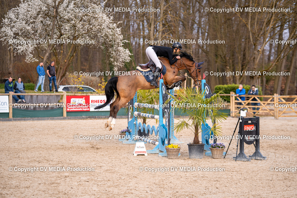 Kranichstein Tag 2-2241 | dv-media-shop - Realisiert mit Pictrs.com