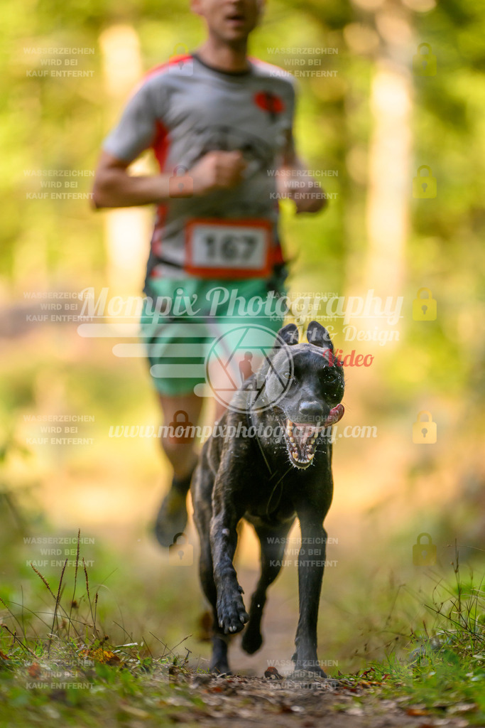 MompixPhotography_Yens2025_B3-202 | PayLife