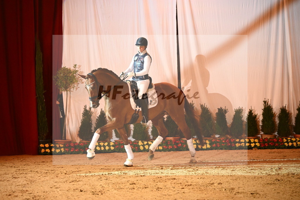 Viva Diamond_2241576 | hf-fotografie - Realisiert mit Pictrs.com