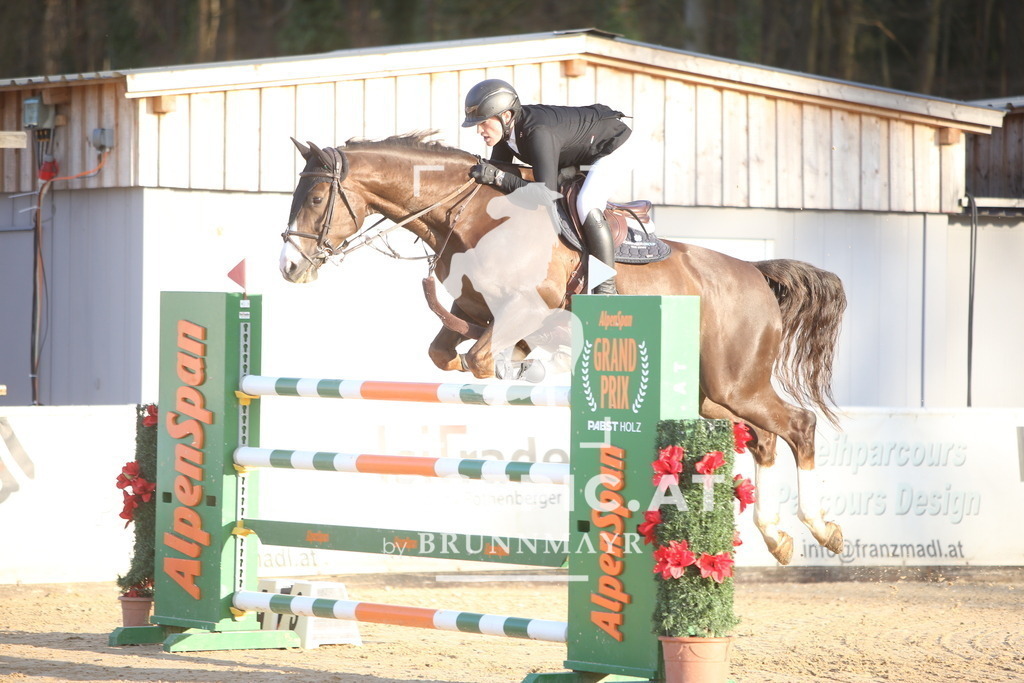 AS8V8736 | Willkommen bei Brunnmayr - Design & Fotografie – Ihrem Spezialisten für Reitturniere und Pferdeveranstaltungen in Oberösterreich, Salzburg und Bayern! Seit über 17 Jahren sind wir leidenschaftlich dabei.