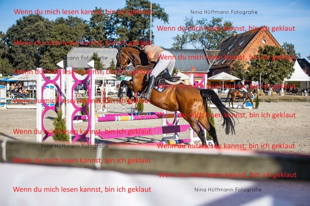 BK1A7792 | Turnierbilder Turnierfotos Nina Hüffmann Turnierfotografie Pferdefotografie Tierzeichnung Haustierzeichnung Pferdezeichnung Hundezeichnung Videograf  - Realisiert mit Pictrs.com