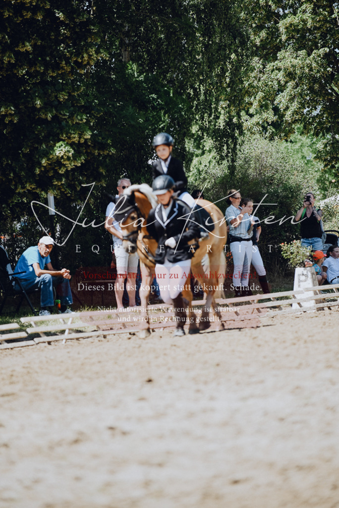 DSC_2523 | Pferde- und Turnierfotografie in Westsachsen. Pferdeportraits, Auftragszeichnungen und intuitive Kunst.