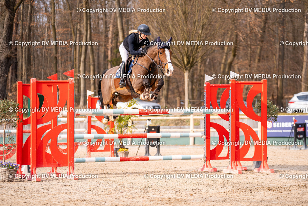 Kranichstein Tag 2-2323 | dv-media-shop - Realisiert mit Pictrs.com