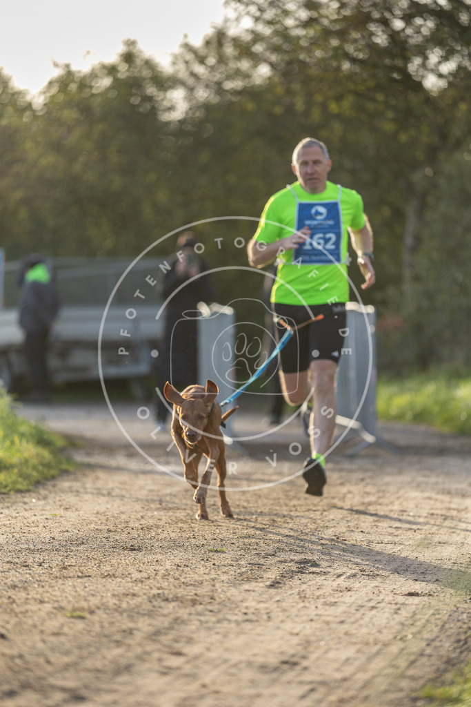 Pfotenfotografie.de_DV3A2684 | Hundefotografie, Tierfotograf, Pfotenfotografie, Fotoshooting Hund, Hunde Portrait, Hundesport, Hundeportraits, Heideshooting, Hunde, Sportfotograf, Hundefotograf, Turnierhundsport, THS, canicross - Realisiert mit Pictrs.com