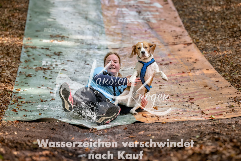 1257_ZZ91501-Bearbeitet | kk-dogfotos