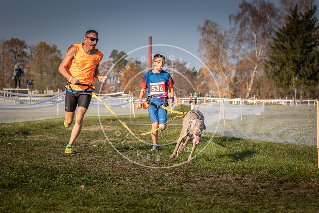 CaniXpix_0L8A8969 | Hundefotografie, Tierfotograf, Pfotenfotografie, Fotoshooting Hund, Hunde Portrait, Hundesport, Hundeportraits, Heideshooting, Hunde, Sportfotograf, Hundefotograf, Turnierhundsport, THS,  - Realisiert mit Pictrs.com