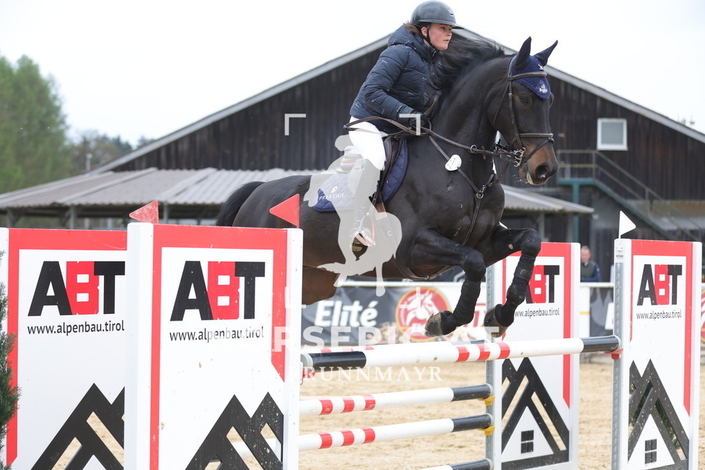 0P6A4084 | Willkommen bei Brunnmayr - Design & Fotografie – Ihrem Spezialisten für Reitturniere und Pferdeveranstaltungen in Oberösterreich, Salzburg und Bayern! Seit über 17 Jahren sind wir leidenschaftlich dabei.