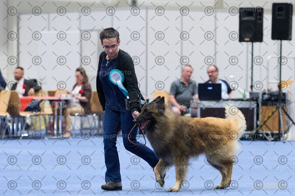 202406_ÖKV-IHA-Tulln24_DSC_2880 | proPHOTO - Realisiert mit Pictrs.com