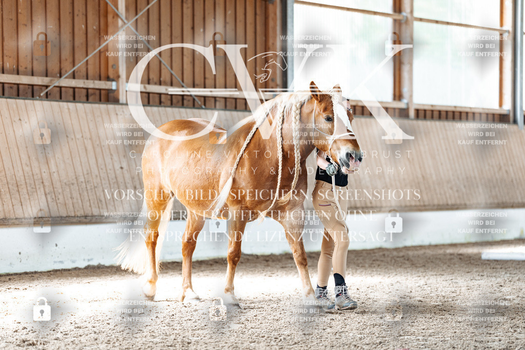 CK905901 | Turnierfotografie Pferdefotografie Trier Rheinland-Pfalz Pferdesport Reitsport Tierfotografie Sportfotografie Pferdevideo Pferdevideografie Equestrianvideography equestrianphotography  - Realisiert mit Pictrs.com