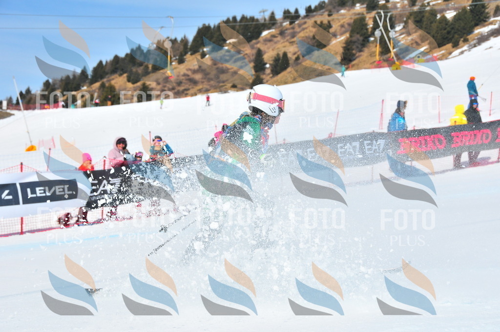 DSC_4877 | holidayphoto