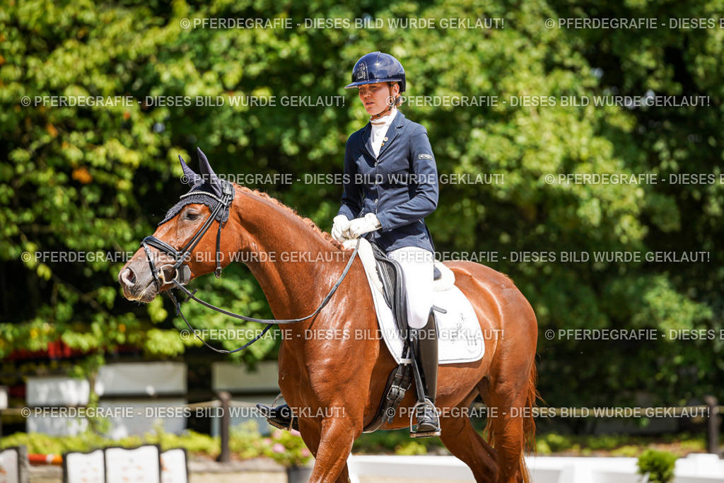 DSC01097 | Pferdegrafie