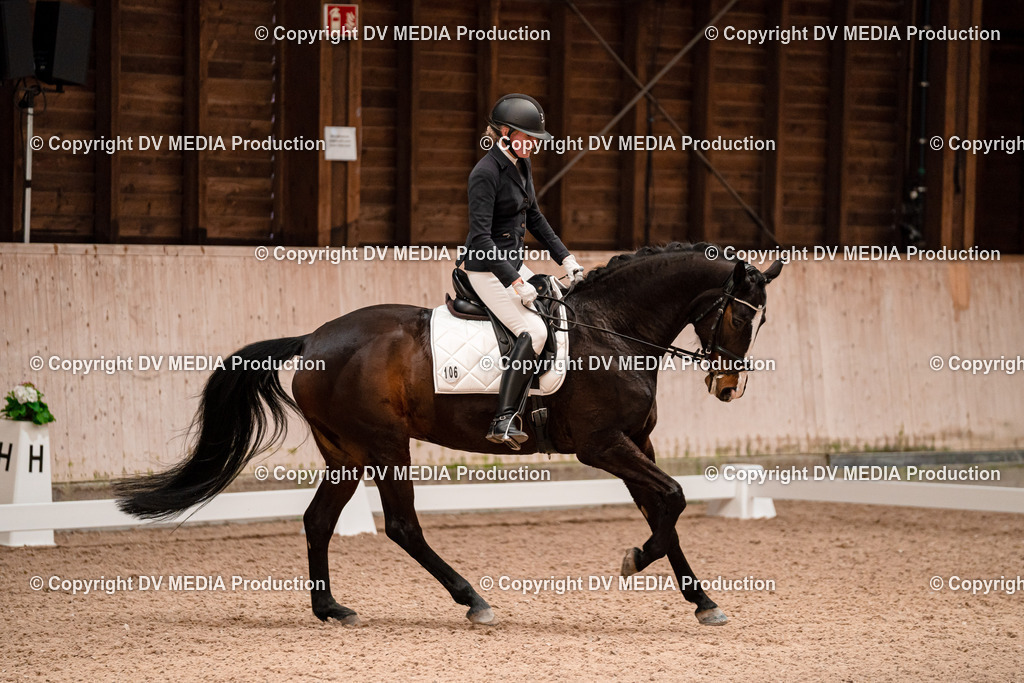 Dressur Tag 2-284 | dv-media-shop - Realisiert mit Pictrs.com