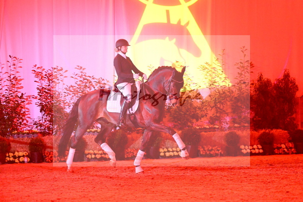 Esperanto_Schepper_3262782 | hf-fotografie - Realisiert mit Pictrs.com